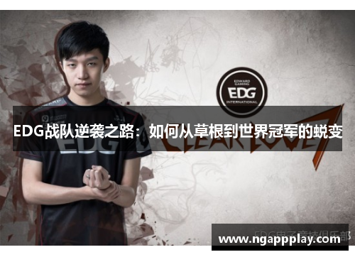 EDG战队逆袭之路：如何从草根到世界冠军的蜕变