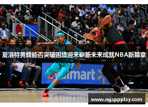夏洛特黄蜂能否突破困境迎来崭新未来成就NBA新篇章