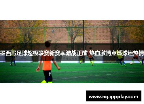 墨西哥足球超级联赛新赛季激战正酣 热血激情点燃球迷热情