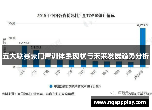 五大联赛豪门青训体系现状与未来发展趋势分析